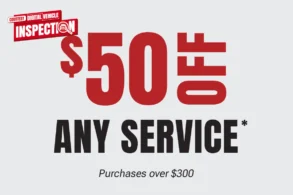 ANY PURCHASE OVER $300